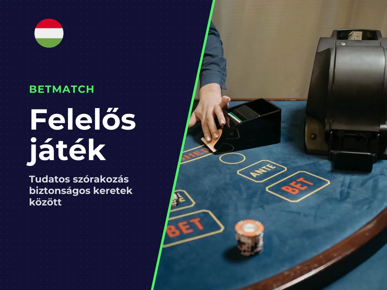 Felelős játék. A felelős játék eszközeinek